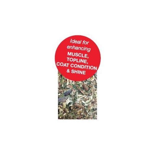 Pba Hyfeed Weight Plus 20kg (out of stock)