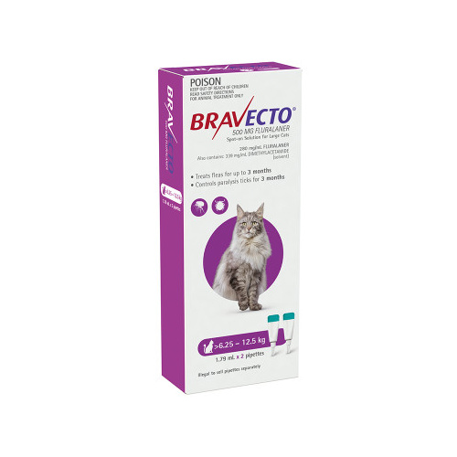 Bravecto Spot On - Purple - Large Cats 6.25-12.5kg