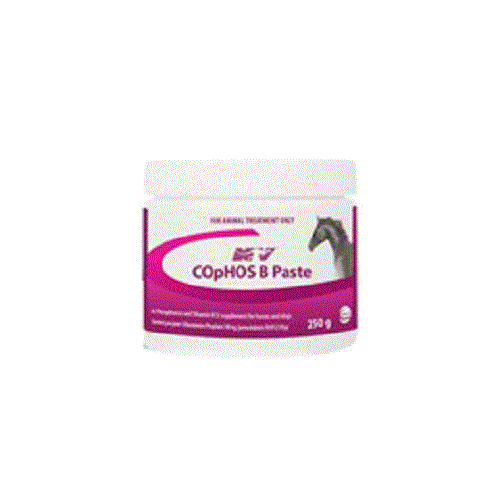 NV Cophos B Paste 250ml