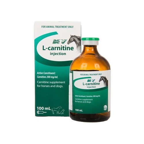 L-Carnitine 100 ml Nature Vet / Ceva