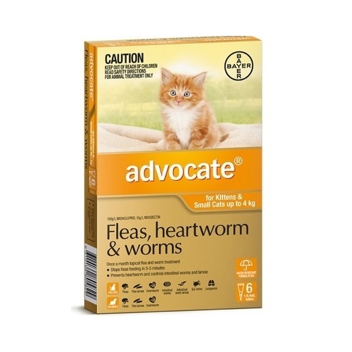 Advocate For Kitten & Cats Upto 4kg Orange