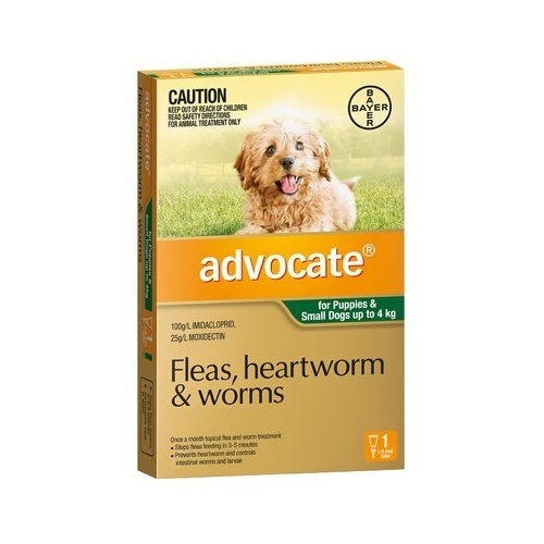 Advocate For Puppies & Dogs Up To 4kg Green