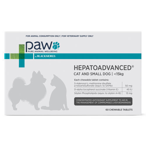PAW HepatoAdvanced - Cat & Small Dog (<15kg) - 60 chews (New size & packaging)