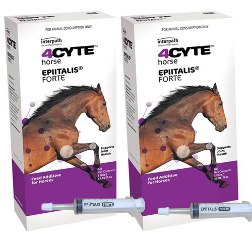 4CYTE Epiitalis Forte Gel For Horses - 2 Litres (note 2 x 1L's)