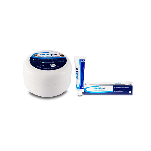 Dentipet Dental Paste