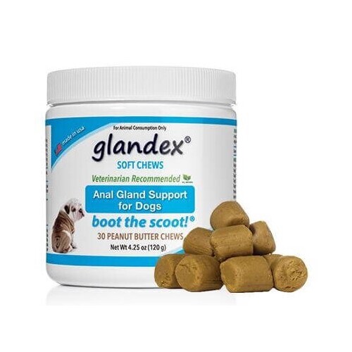 Glandex - Anal Gland Support for Dogs - Soft Peanut Butter chews 