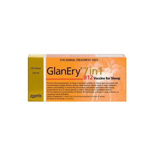 Zoetis GlanEry 7 In 1 B12 Vaccine for Sheep