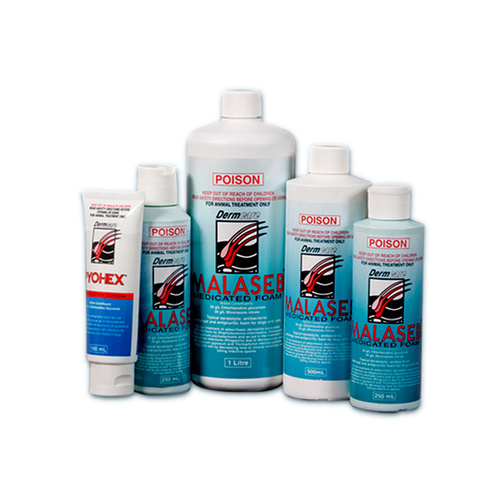 Dermcare malaseb medicated foam deals