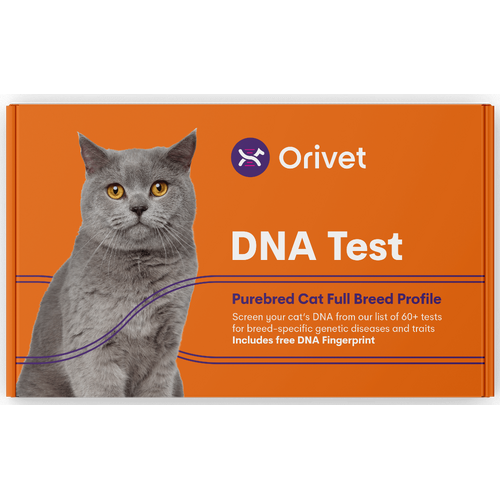 Orivet - PUREBRED Cat Full Breed Profile DNA test