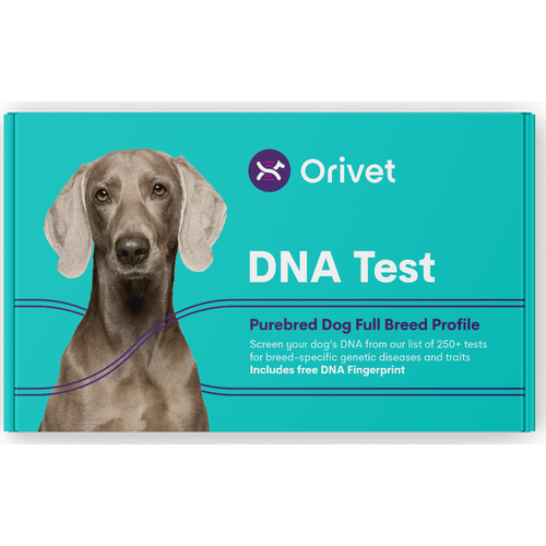 Kit de test d'ADN de chien ORIVET - Profil de race Maroc