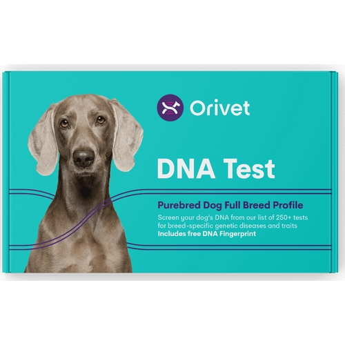 Orivet - PUREBRED Dog Full Breed Profile DNA test kit