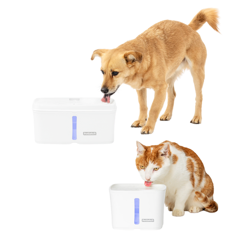PetSafe Viva Pet Water Fountain For Dogs & Cats