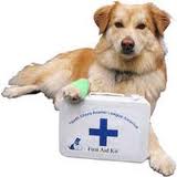 First Aid